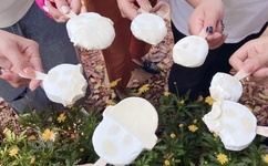 恋爱暴君OVA双男主樱花动漫